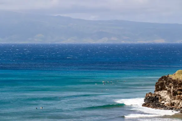 Casino Two Fat Ladies Bingo Suporte